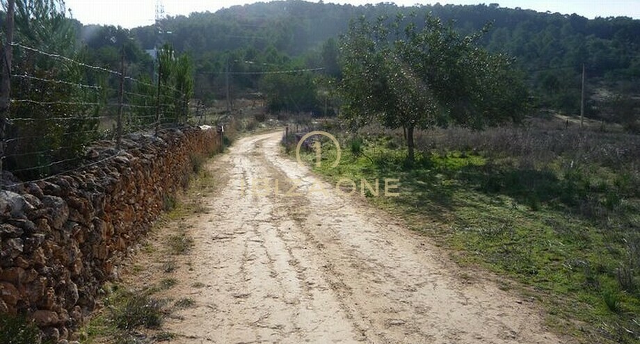 Foto dell'oggetto