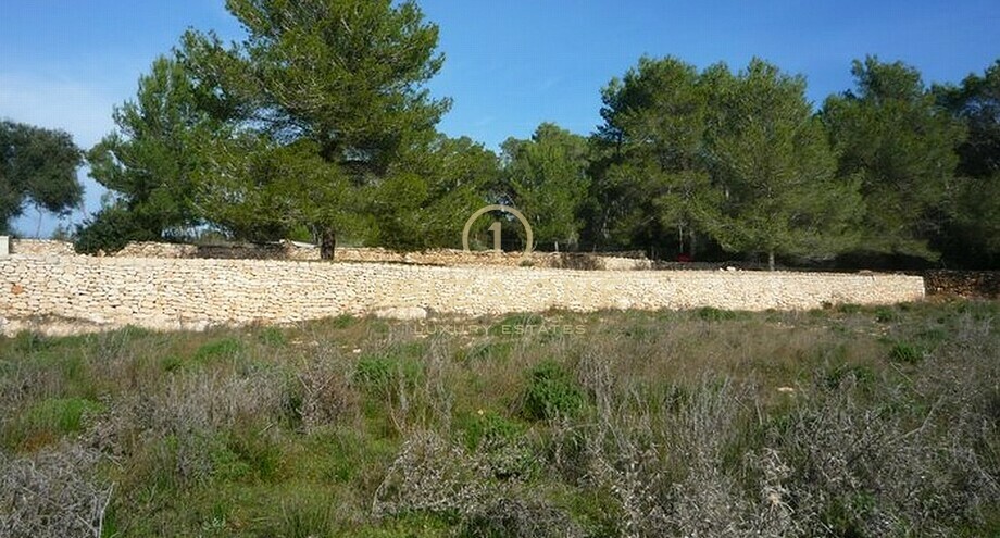 Foto dell'oggetto