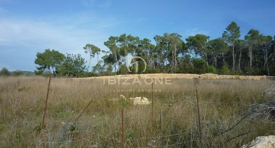 Photo de l'objet