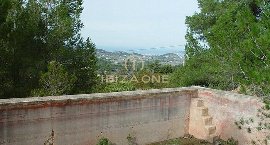 Foto dell'oggetto