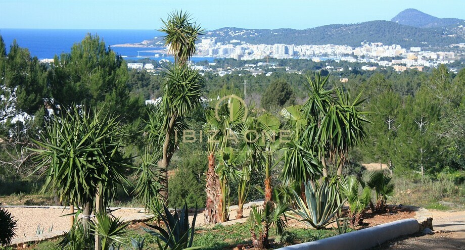 Photo de l'objet