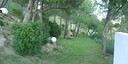 Photos of the property