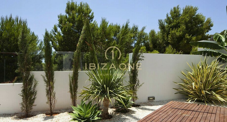 Photos of the property