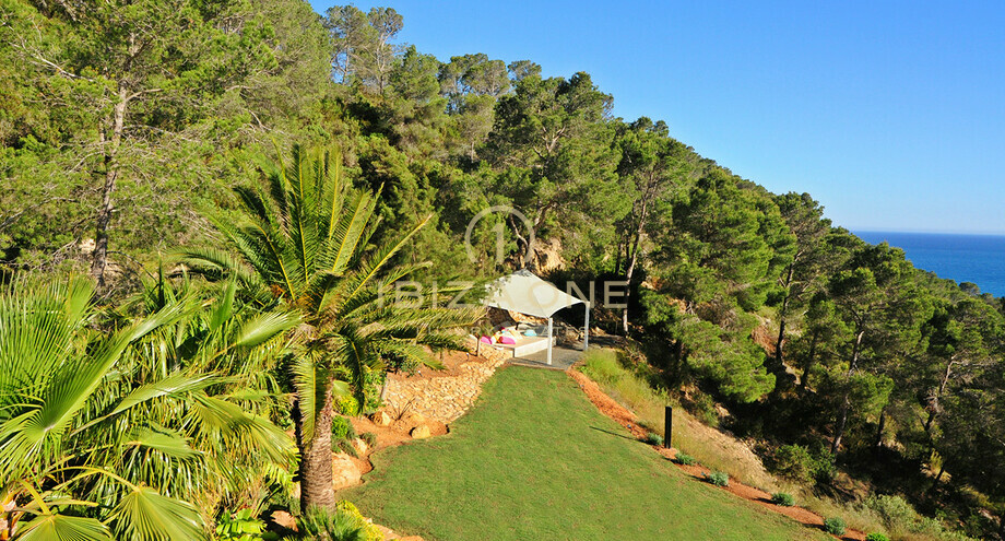 Photos of the property