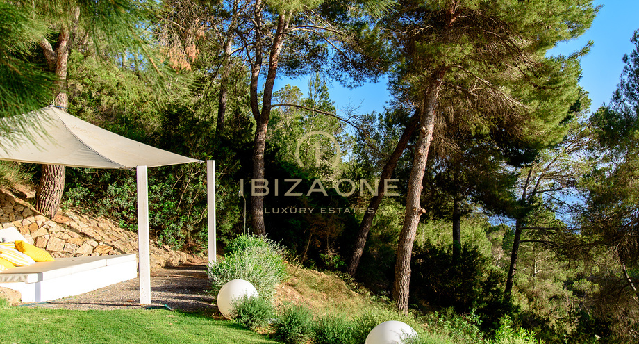 Foto van het vastgoed