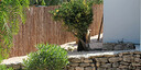 Photo de l'objet