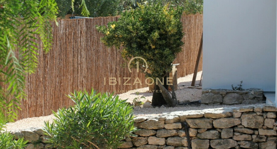 Photo de l'objet