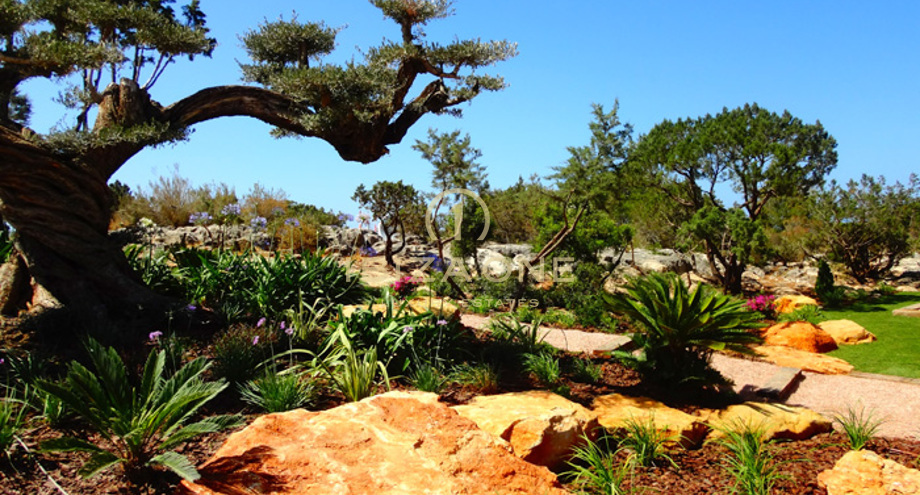 Foto van het vastgoed