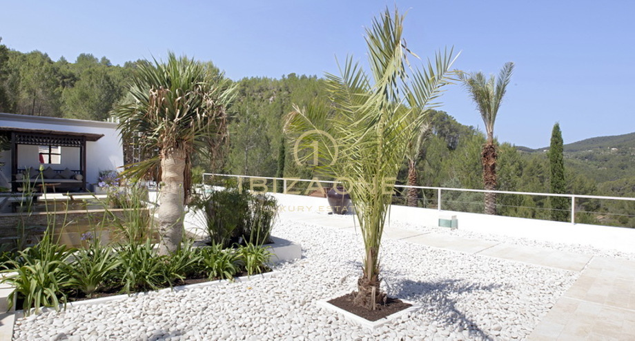 Foto dell'oggetto