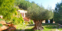 Foto dell'oggetto