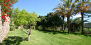 صور العرض