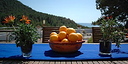Foto dell'oggetto