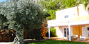 Photos of the property
