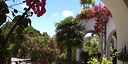 صور العرض