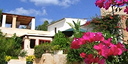 صور العرض