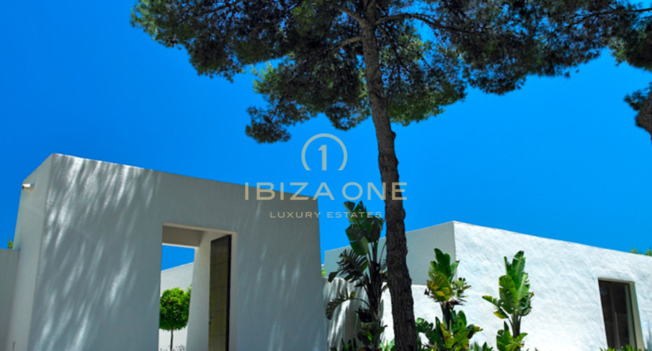 Photos of the property