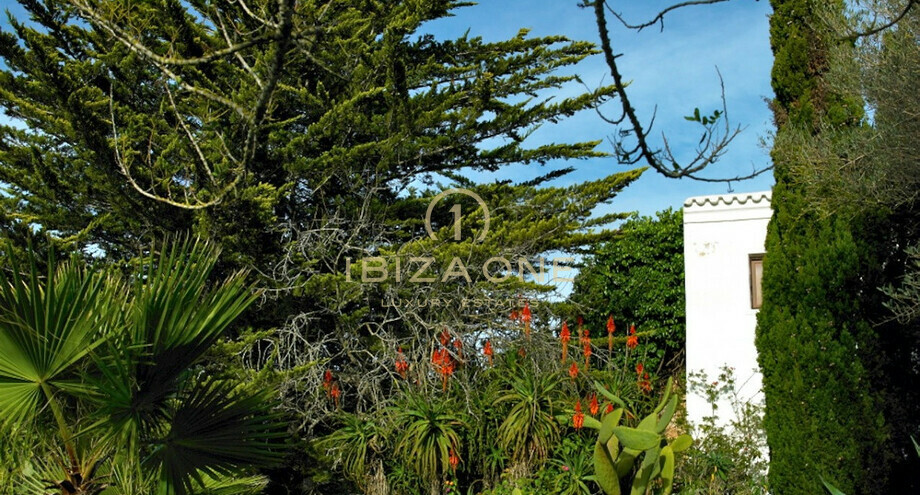 Photo de l'objet