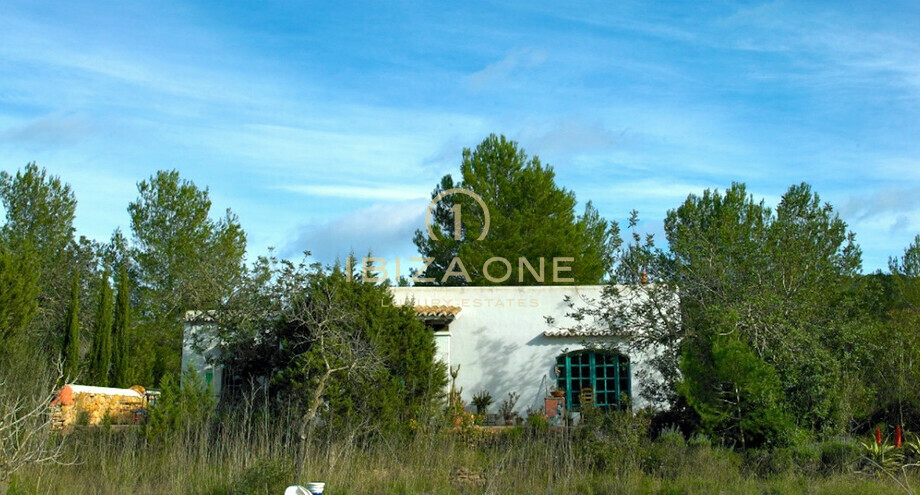 Photo de l'objet