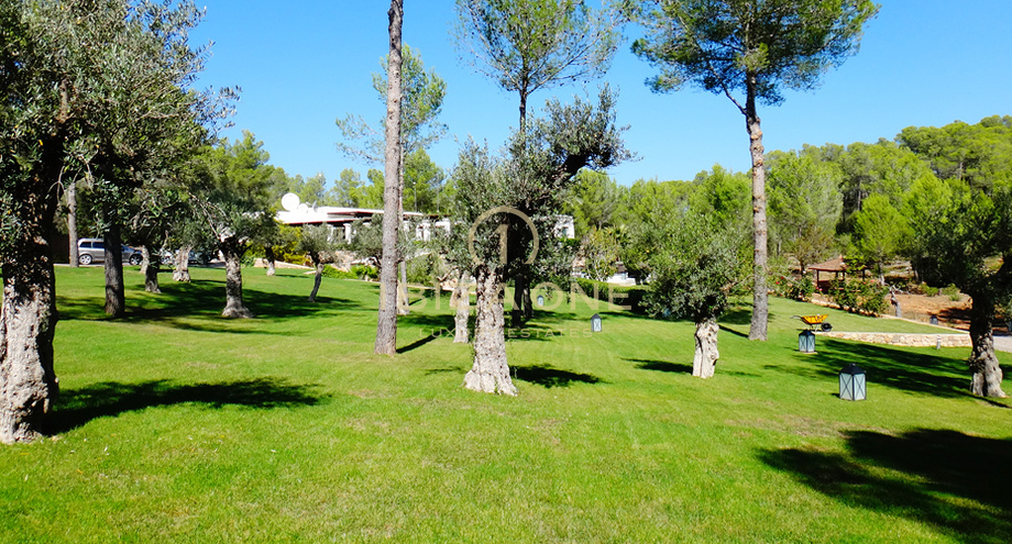 Photos of the property