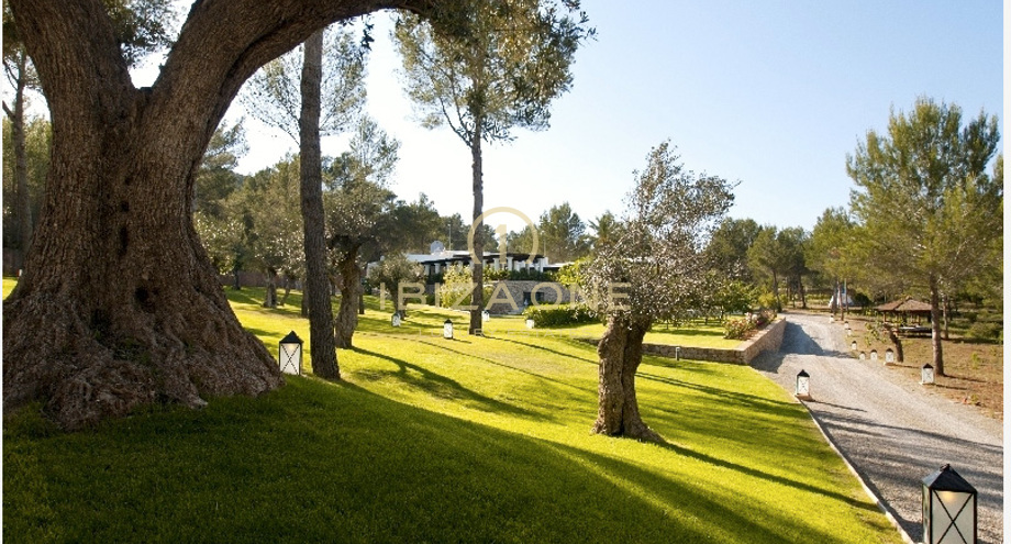 Photos of the property
