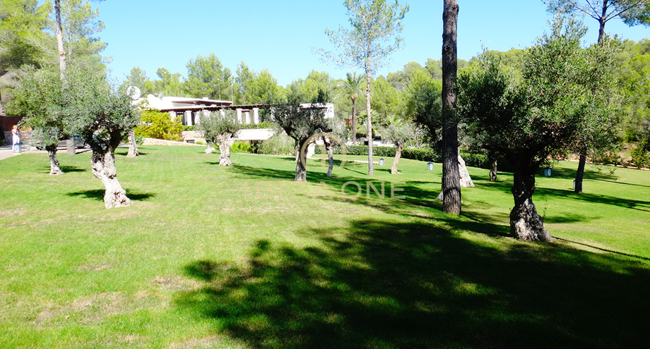 Photos of the property