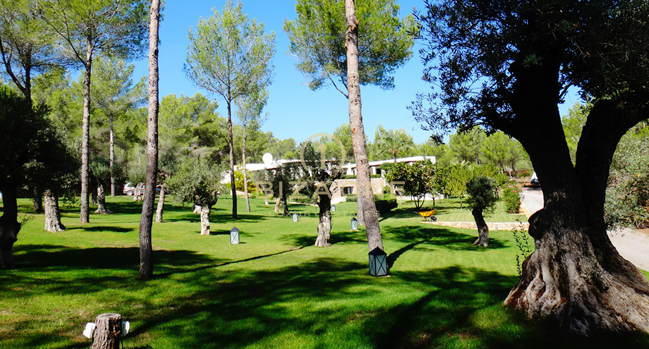 Foto dell'oggetto