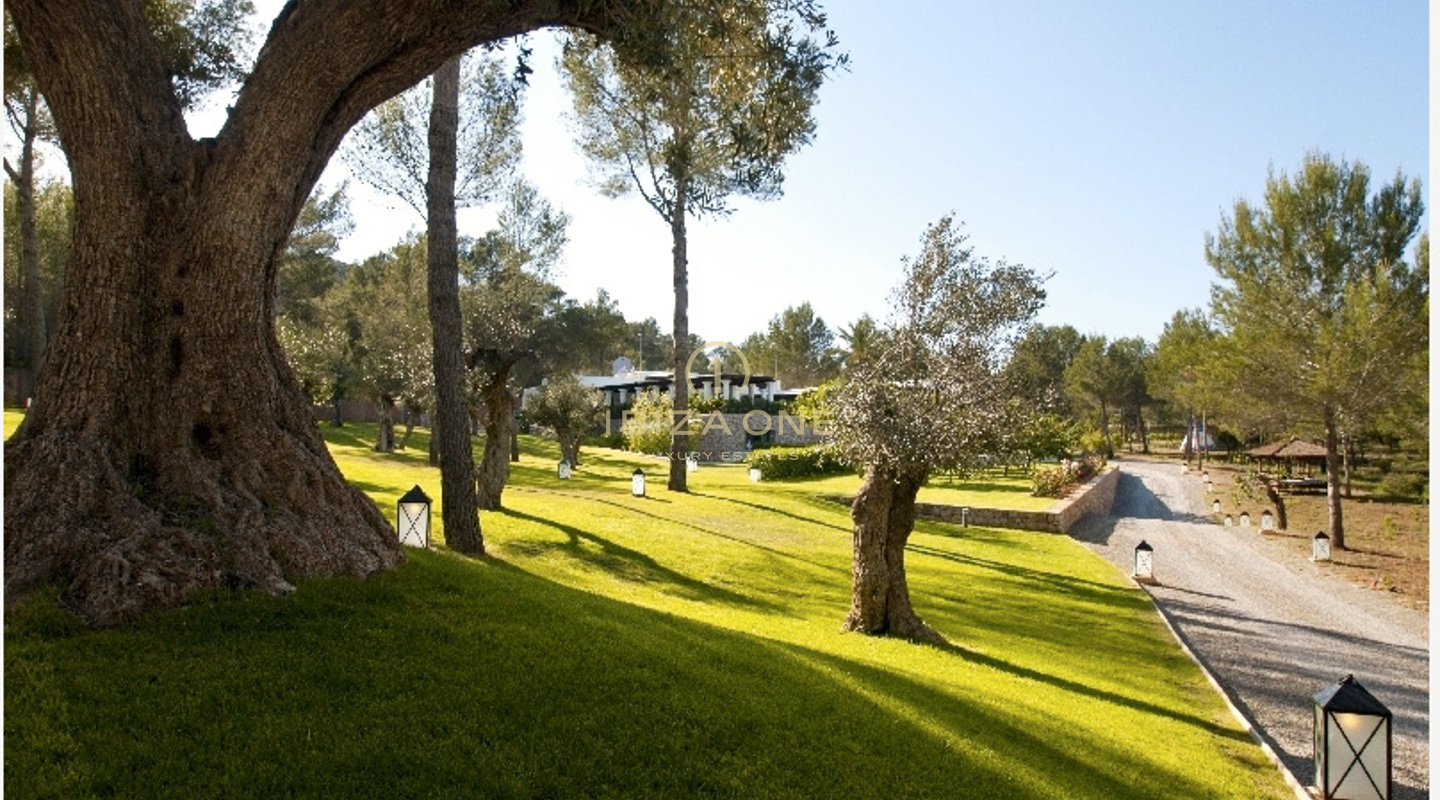 Photos of the property