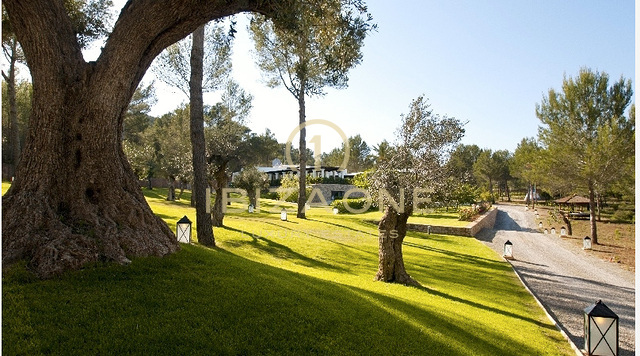 Lujosa y hermosa finca en Blakstad, en una ubicación excelente, en venta, Ibiza - Lujosa y hermosa finca en Blakstad, en una ubicación excelente, en alquiler, Ibiza
