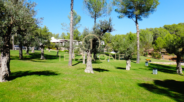 Lussuosa e splendida proprietà di campagna a Blakstad in posizione eccellente in vendita, Ibiza - Lussuosa e splendida proprietà di campagna a Blakstad in posizione eccellente in affitto, Ibiza