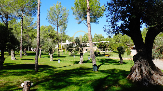 Luxe, prachtig landhuis in Blakstad op uitstekende locatie te koop, Ibiza - Luxe, prachtig landhuis in Blakstad op uitstekende locatie te huur, Ibiza