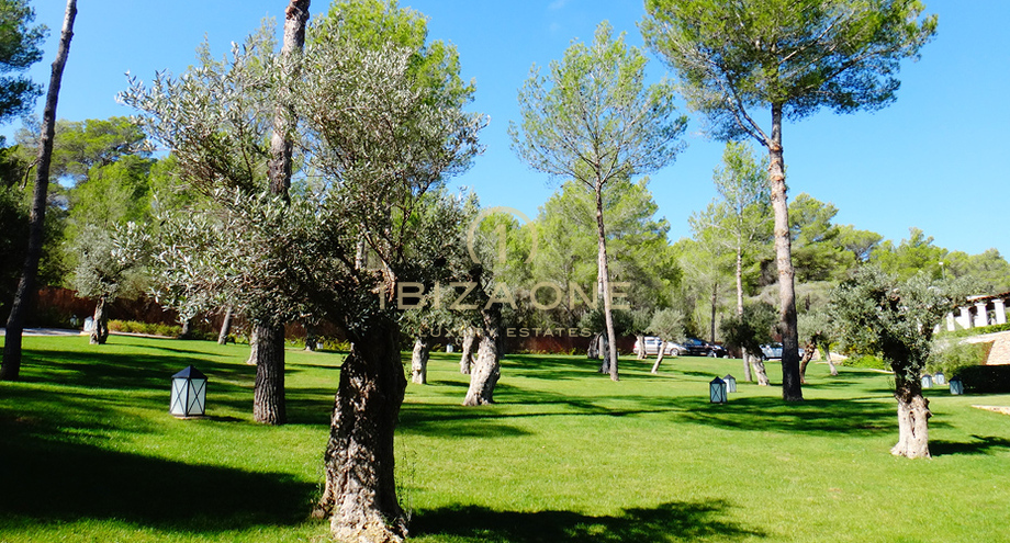 Photos of the property