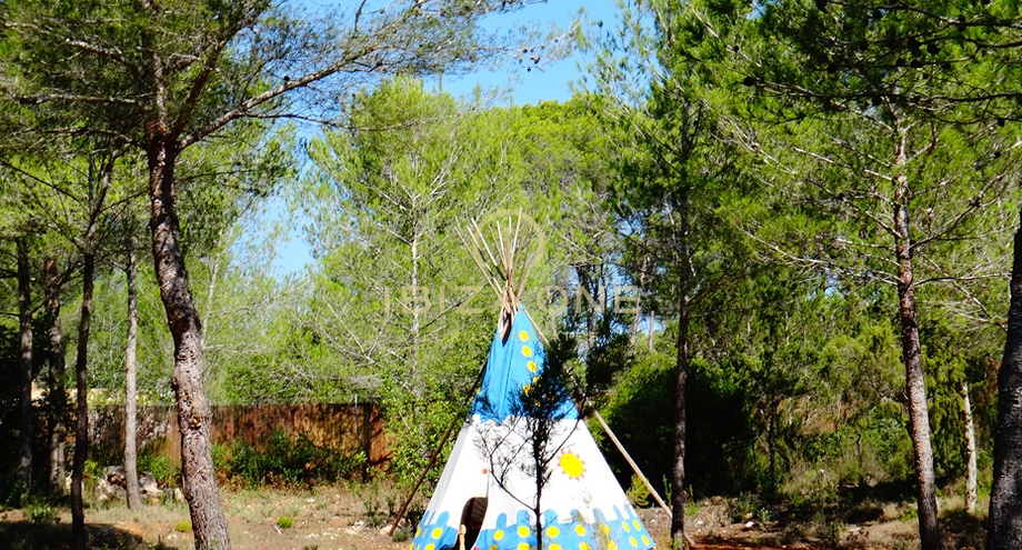 Photos of the property