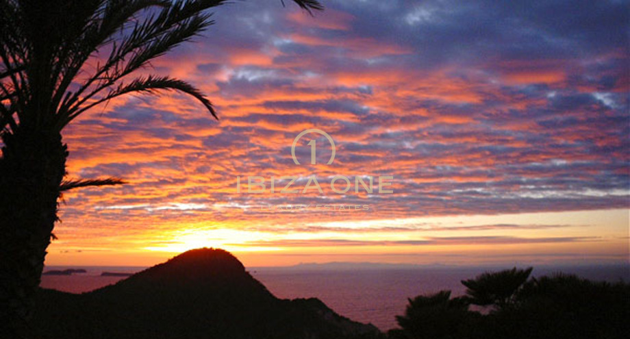 Photos of the property