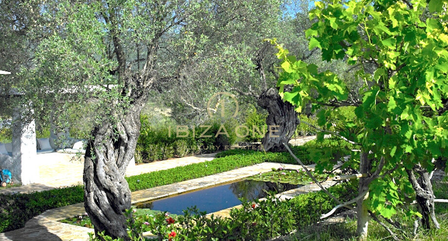 صور العرض