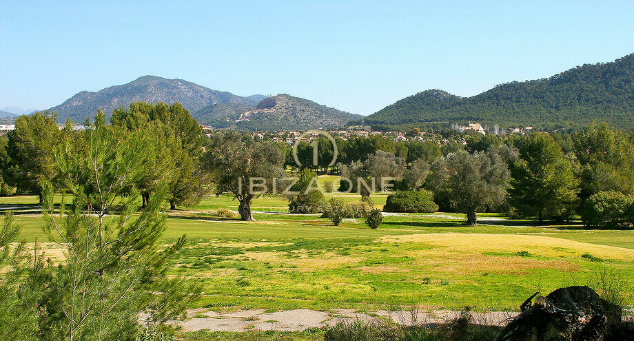 Photos of the property