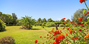 صور العرض