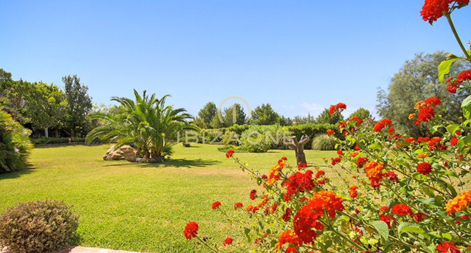 صور العرض