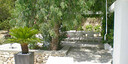 Photos of the property