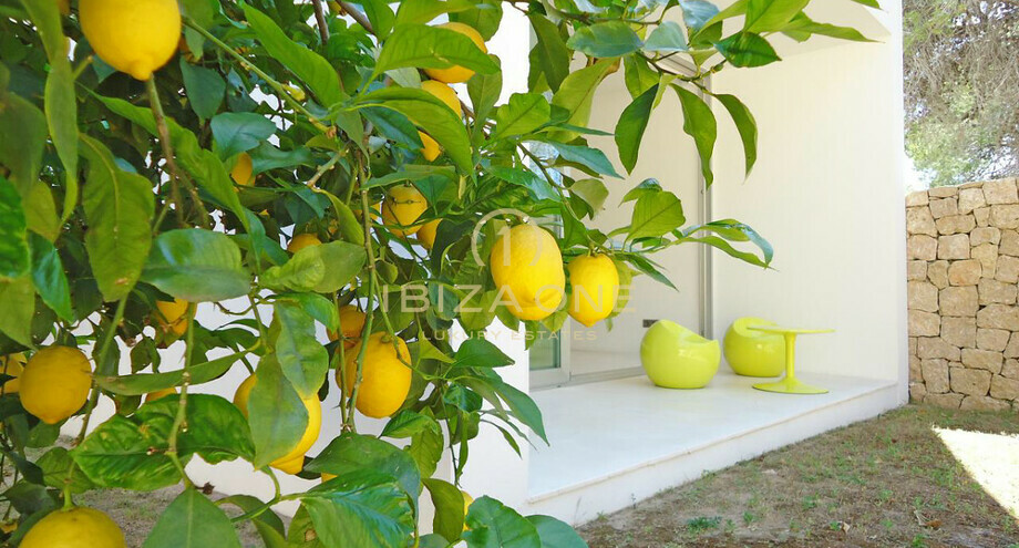 صور العرض