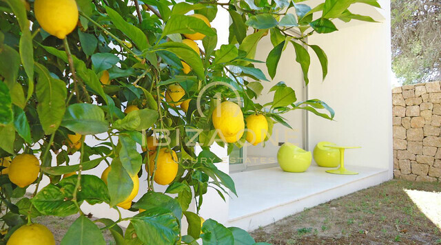 صور العرض