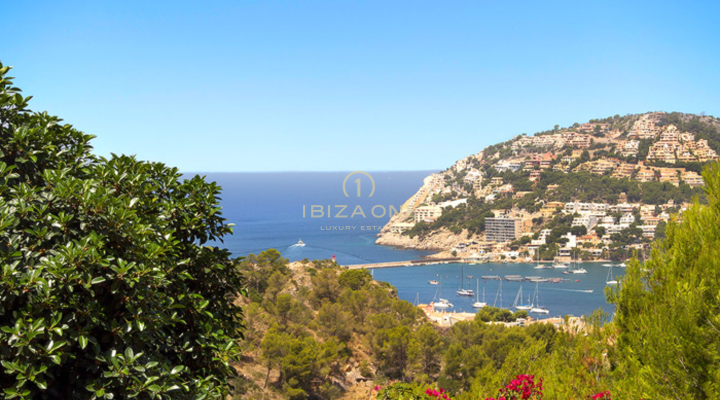 Propriété avec vue sur l'océan, maison principale / villa et maison d'hôtes à vendre, Majorque - Propriété avec vue sur l'océan, maison principale / villa et maison d'hôtes à louer, Majorque