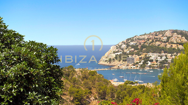 Te koop: woning met zeezicht, hoofdhuis/villa en gastenverblijf, Mallorca - Te huur: woning met zeezicht, hoofdhuis/villa en gastenverblijf, Mallorca