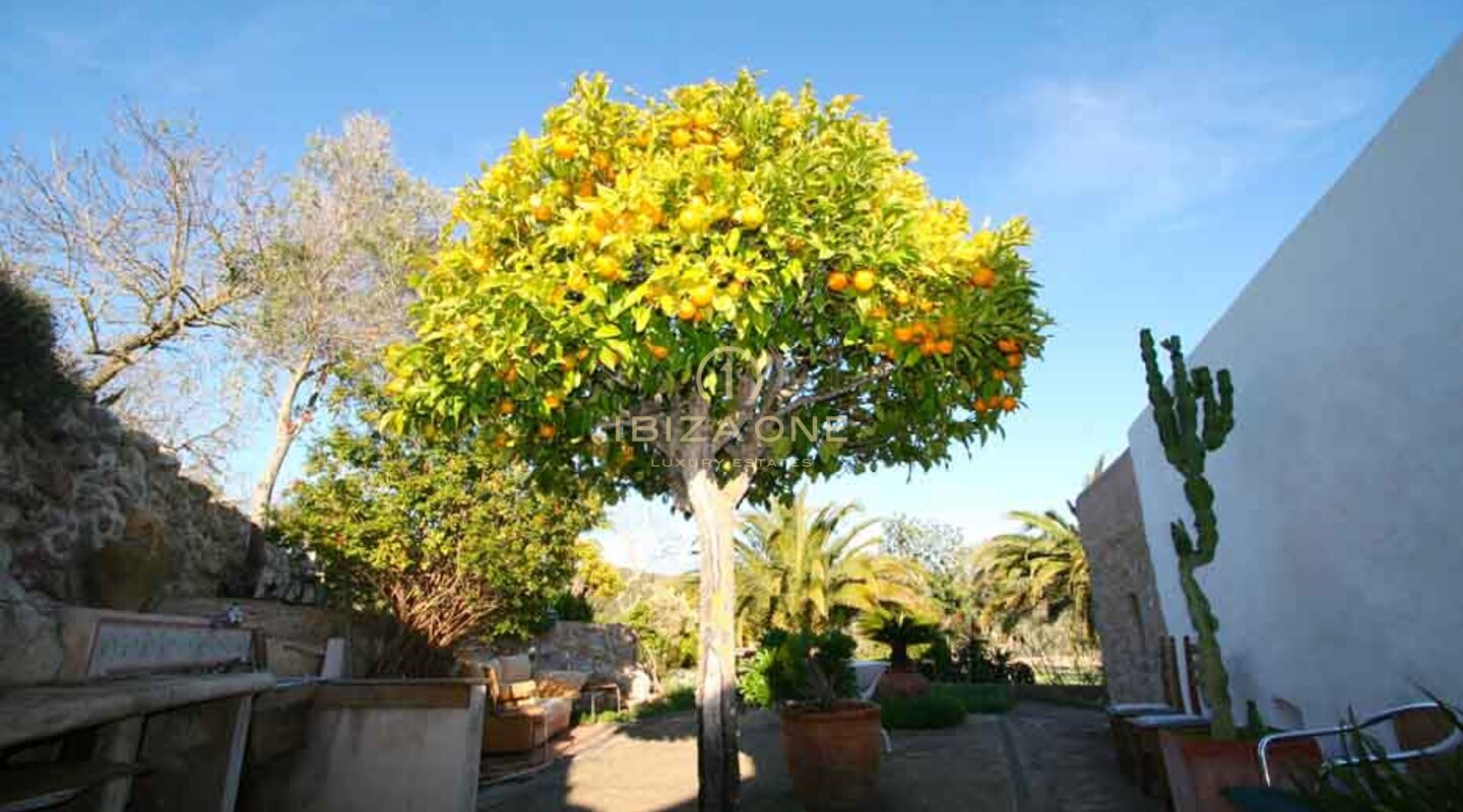 Lujosa y preciosa finca/villa original ibicenca del siglo VIII en venta, Ibiza - Lujosa y preciosa finca/villa original ibicenca del siglo VIII en alquiler, Ibiza