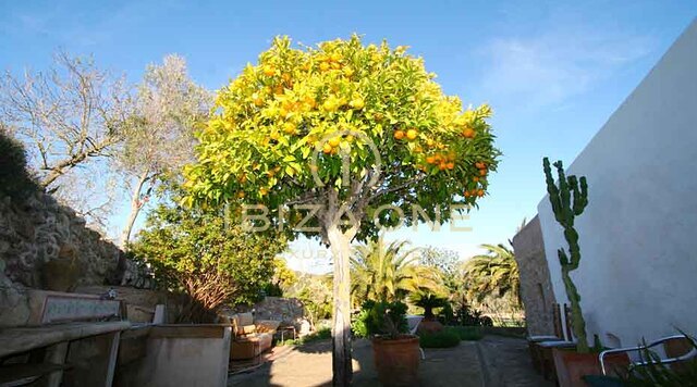 Lussuosa e splendida villa/finca originale di Ibiza dell'VIII secolo in vendita, Ibiza - Lussuosa e splendida villa/finca originale di Ibiza dell'VIII secolo in affitto, Ibiza
