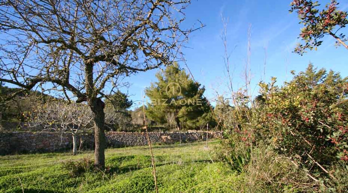 Luxueuse et magnifique finca / villa originale d'Ibiza du 8ème siècle à vendre, Ibiza - Luxueuse et magnifique finca / villa originale d'Ibiza du 8ème siècle à louer, Ibiza
