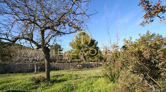 Luxe en prachtige originele Ibiza finca / villa uit de 8e eeuw te koop, Ibiza - Luxe en prachtige originele Ibiza finca / villa uit de 8e eeuw te huur, Ibiza