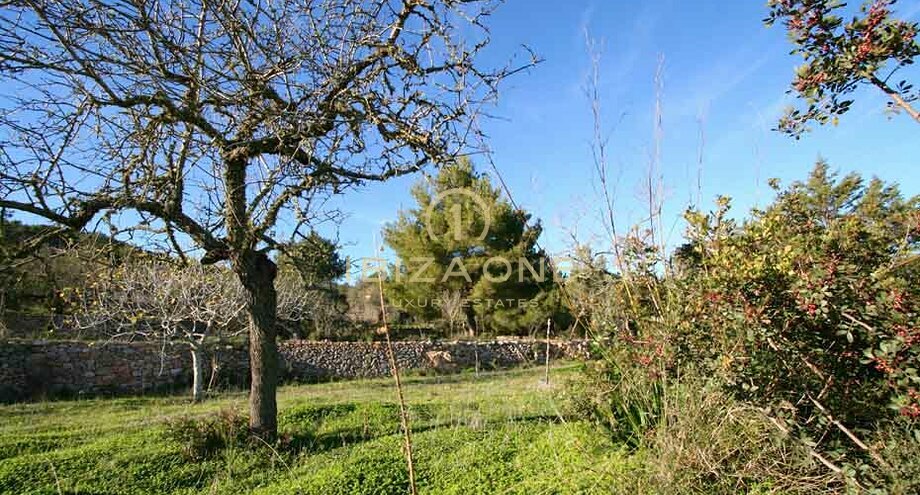Foto dell'oggetto