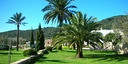 Foto dell'oggetto