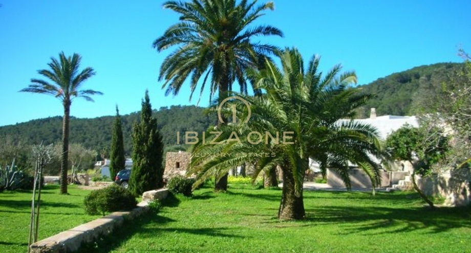 Foto dell'oggetto