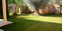 Photos of the property